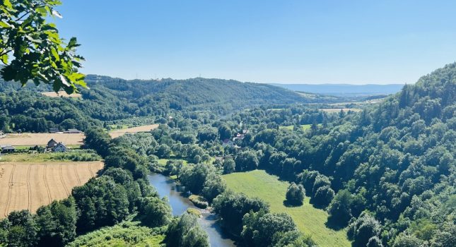 image00003 — kopia